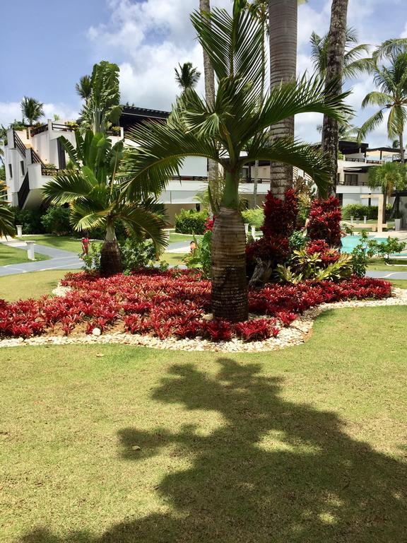Aligio Beachfront Paradise Las Terrenas Exterior foto